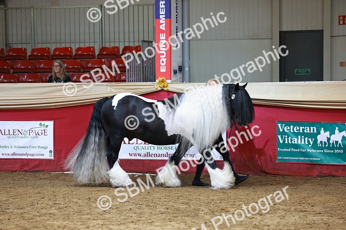 SBM_18413 - Class 903 - Sup Final - IH Pre Vet
