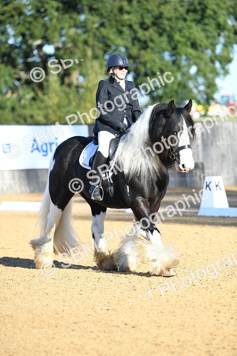 SBM_14454 - D4 - Small Tour Championship - Intro B