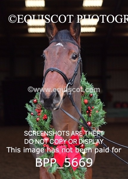 BPP_5669 - Imogen Gray