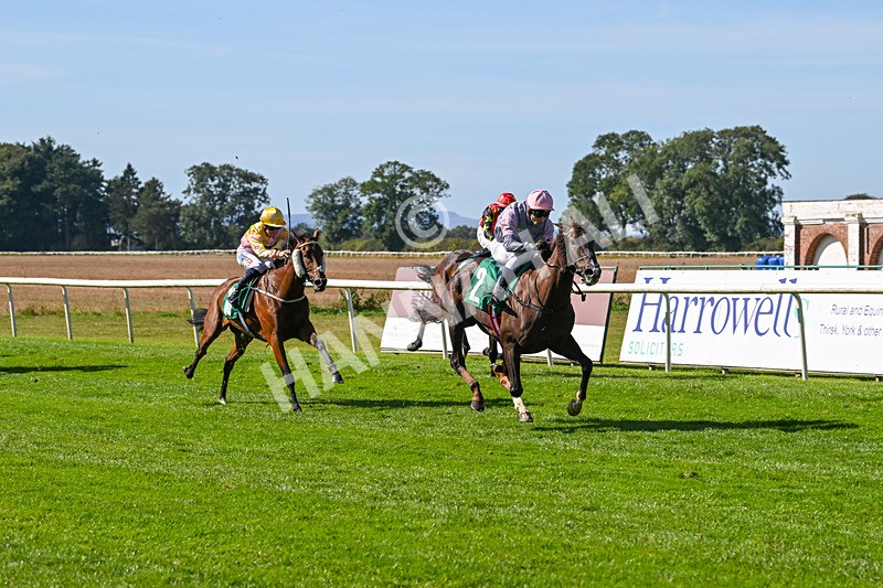 160924-Race 1-Susiesparkle-2505 - Race 1