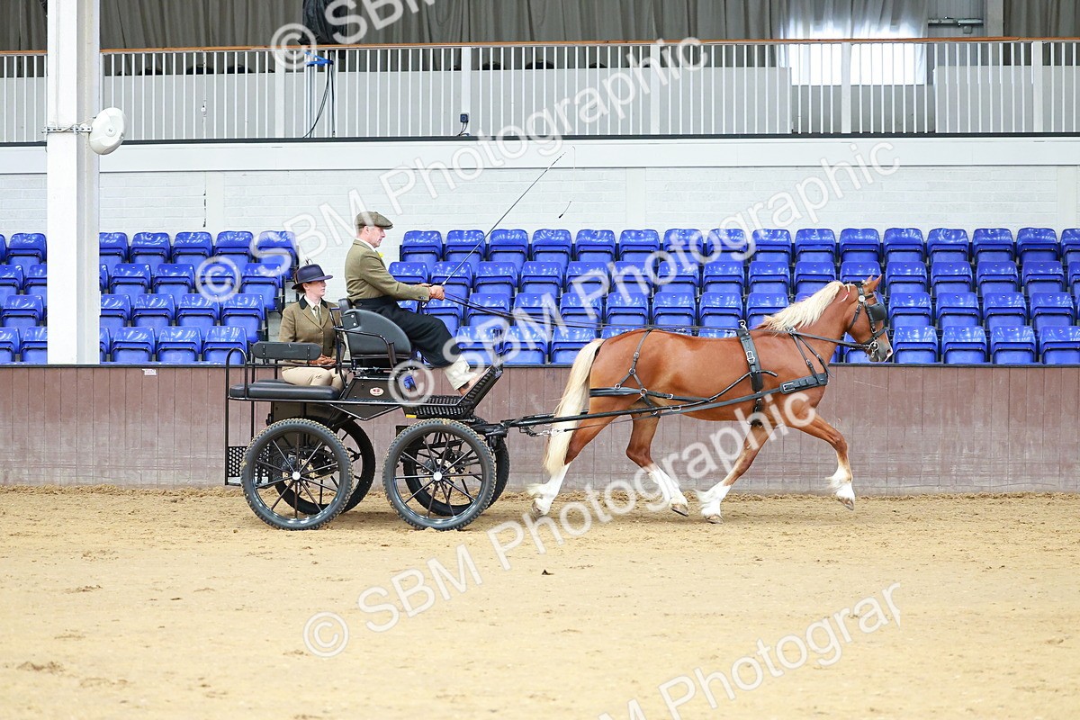 SBM_000631 - Class 11 - Peter Howell Memorial Gentlemen Whip
