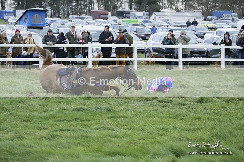 PtP 281121 0592 - Hursley Hambledon Point-to-Point Larkhill 28/11/21