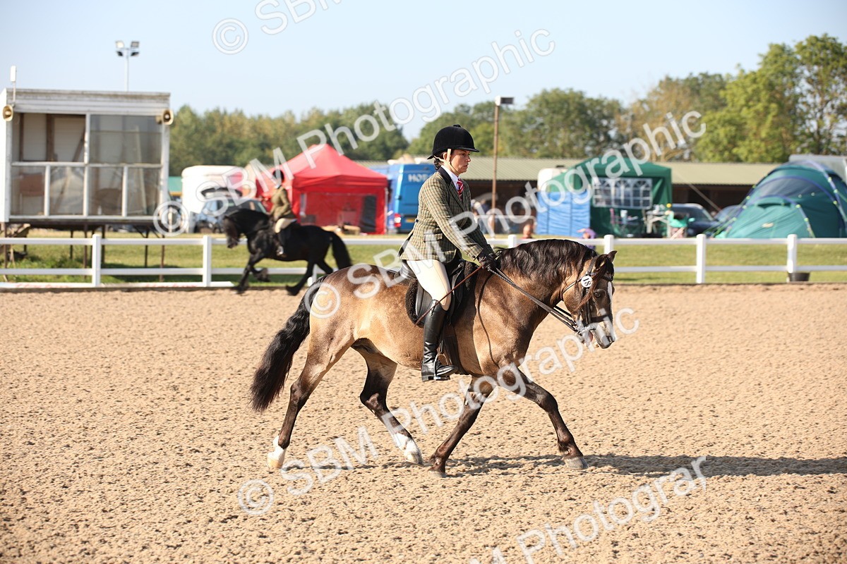 SBM_00647 - Class 14 Ridden M&M Wildcard