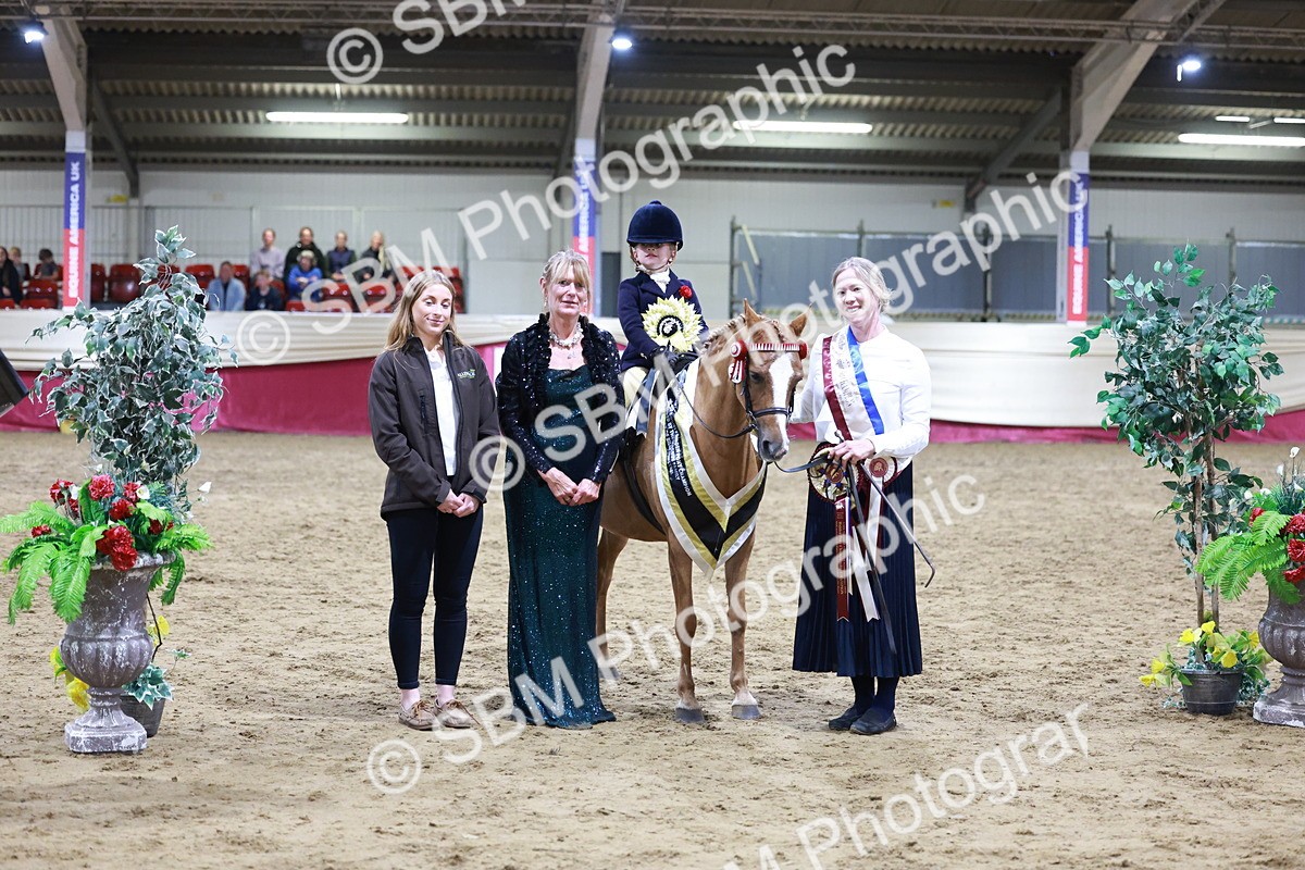 SBM_20588 - Class H - IH Competition - Riding Club champ