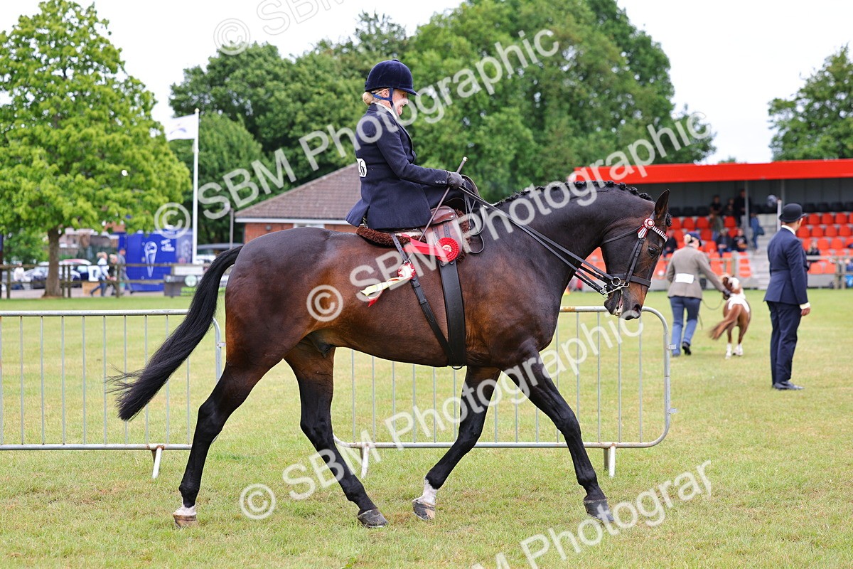 SBM_02868 - Class 9-11 Side Saddle including LIHS Rising Star Ladies Show Horse