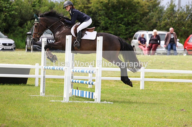 3E7A7701 - Class 13: Senior British Novice/90cm open