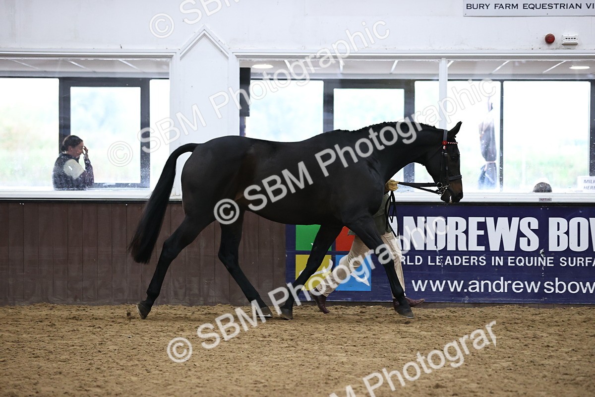 SBM_5803 - Class 4 - ROR Open In Hand