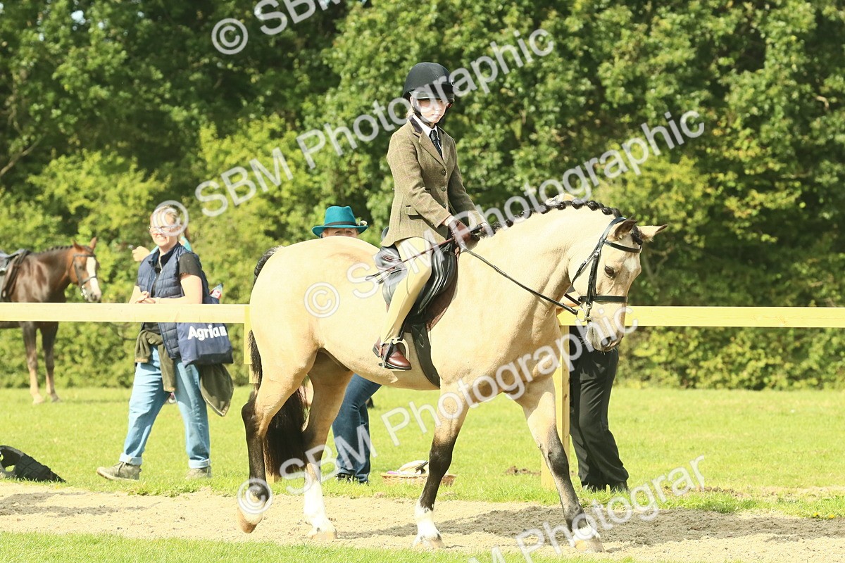 SBM_67376 - S56 - Coloured Pony Ridden