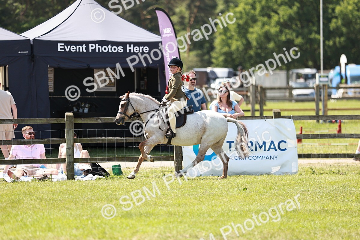 SBM_15789 - Class 108-109 - BSPS LIHS Open Gradle & Nursery Stakes