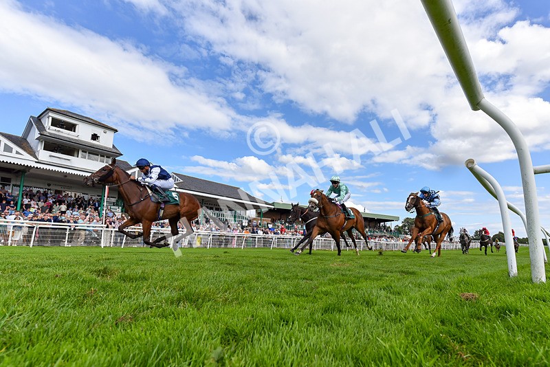 060824-Race 4-One Of Our Own-2-3 - Race 4