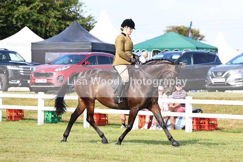 3E7A8490 - Class 3: Rising Star S/L Hunter