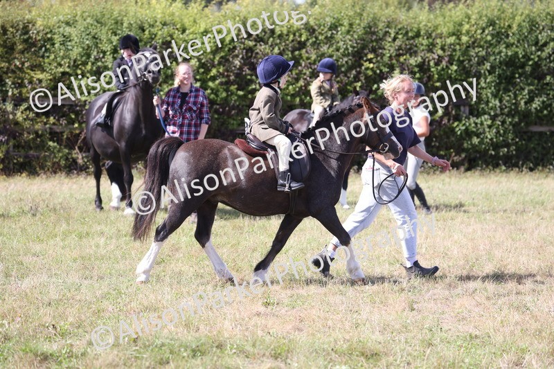 20260906-2816 - Class 25 - Absolute Beginners Pony