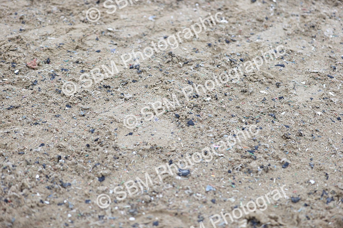 SBM_007481 - Class 31-32 - M&M Confined Novice Small-Large