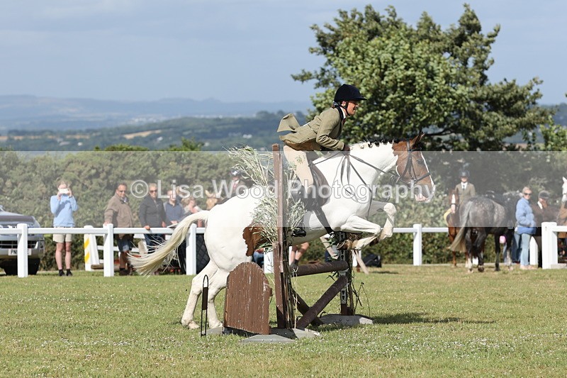 JPP_2799 - Class 20: Working Hunter 70cm