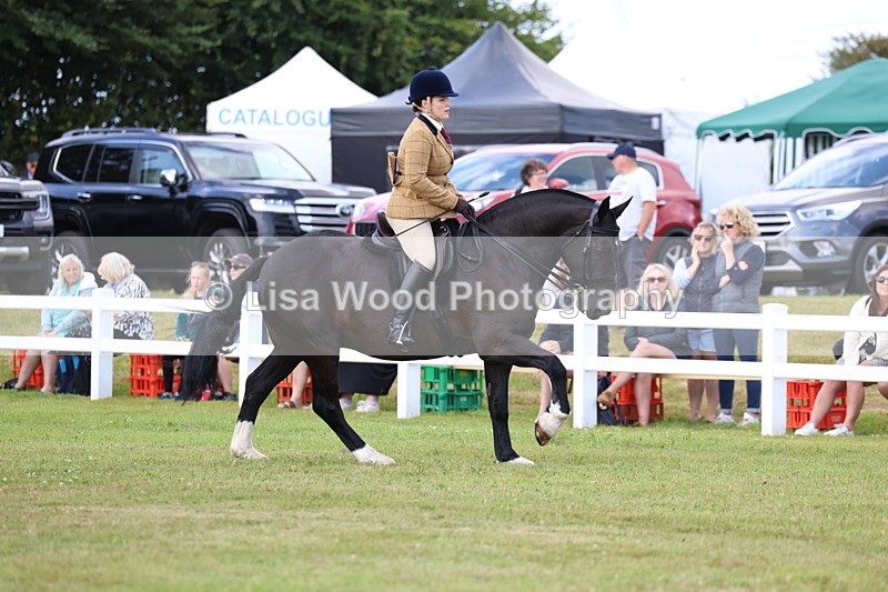 3E7A9691 - Class 5: Rising Star Lightweight/Heavyweight Cobs