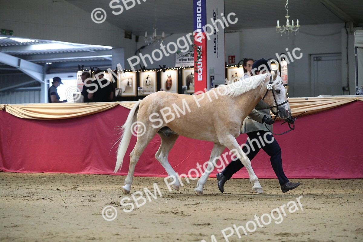 SBM_04391 - Class 7R Regional - IH Diamond