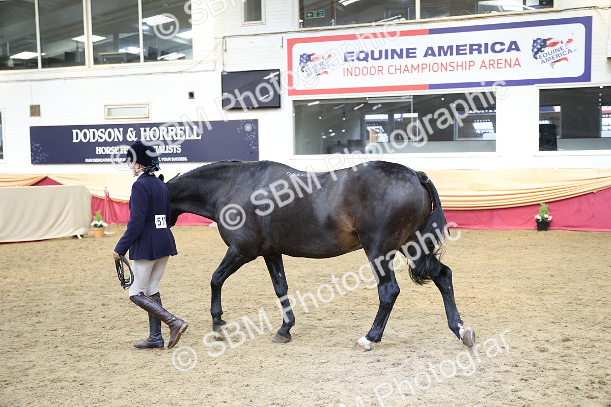 SBM_24286 - Class 905 - Supreme Final - Ridden Veteran