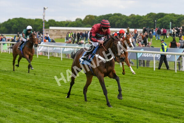 yr12052022r7-20 - Race 7 5.15pm Fidomoney Stakes