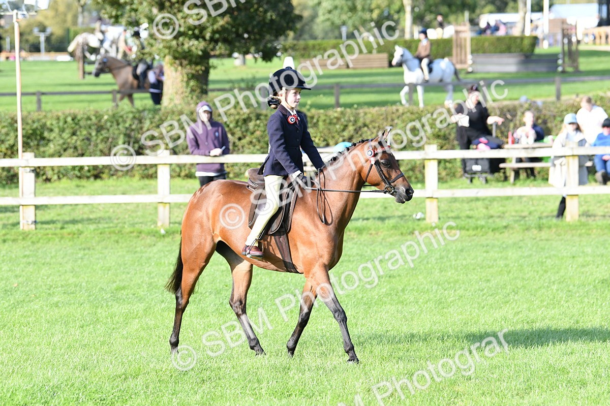 SBM_52403 - S22 - 1st Ridden Show & Show Hunter Pony
