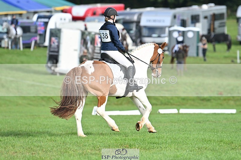 231020-102758-07627 - 638-I.FOUND.NEMO-Jacky.Jones-DR