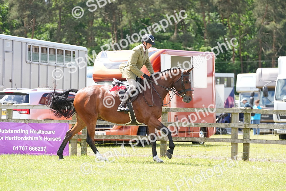 SBM_15062 - Class 100-102 - RIHS Working Hunter