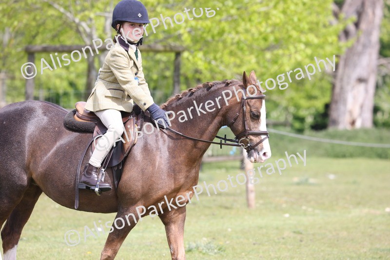 20260426-4069 - Small Pony Championship