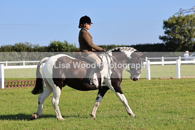 IMG_1366 - Class 28: Ridden Plaited Coloured Pony