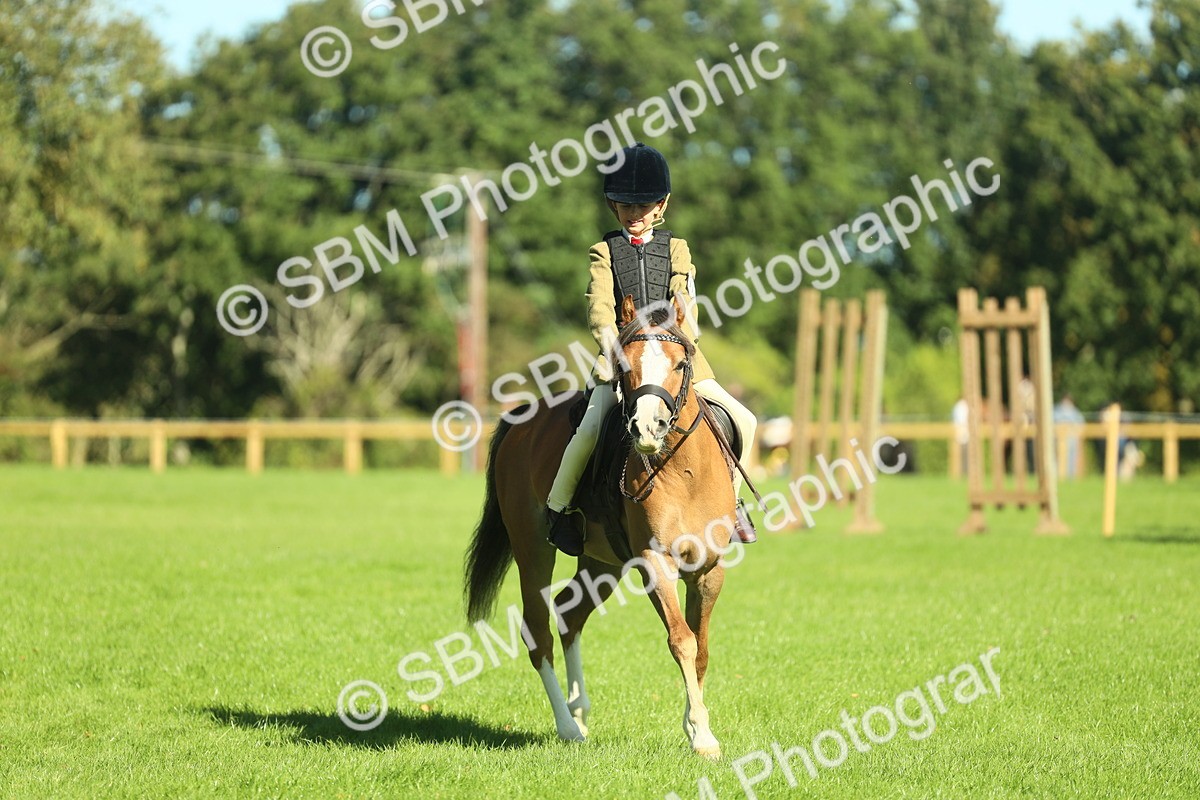 SBM_37411 - S29 - Novice & Newcomers Working Hunter Pony