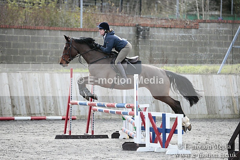 BVRC SJ 170319 741 - Bourne Valley Riding Club Showjumping 17/03/19