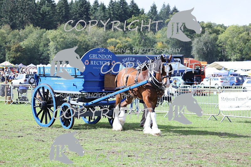 APP_3582 - Class 7 Turnout for a single or pair