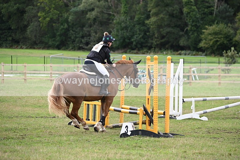 WJ6_2061 - 60cm Time 12:30 to 12:49