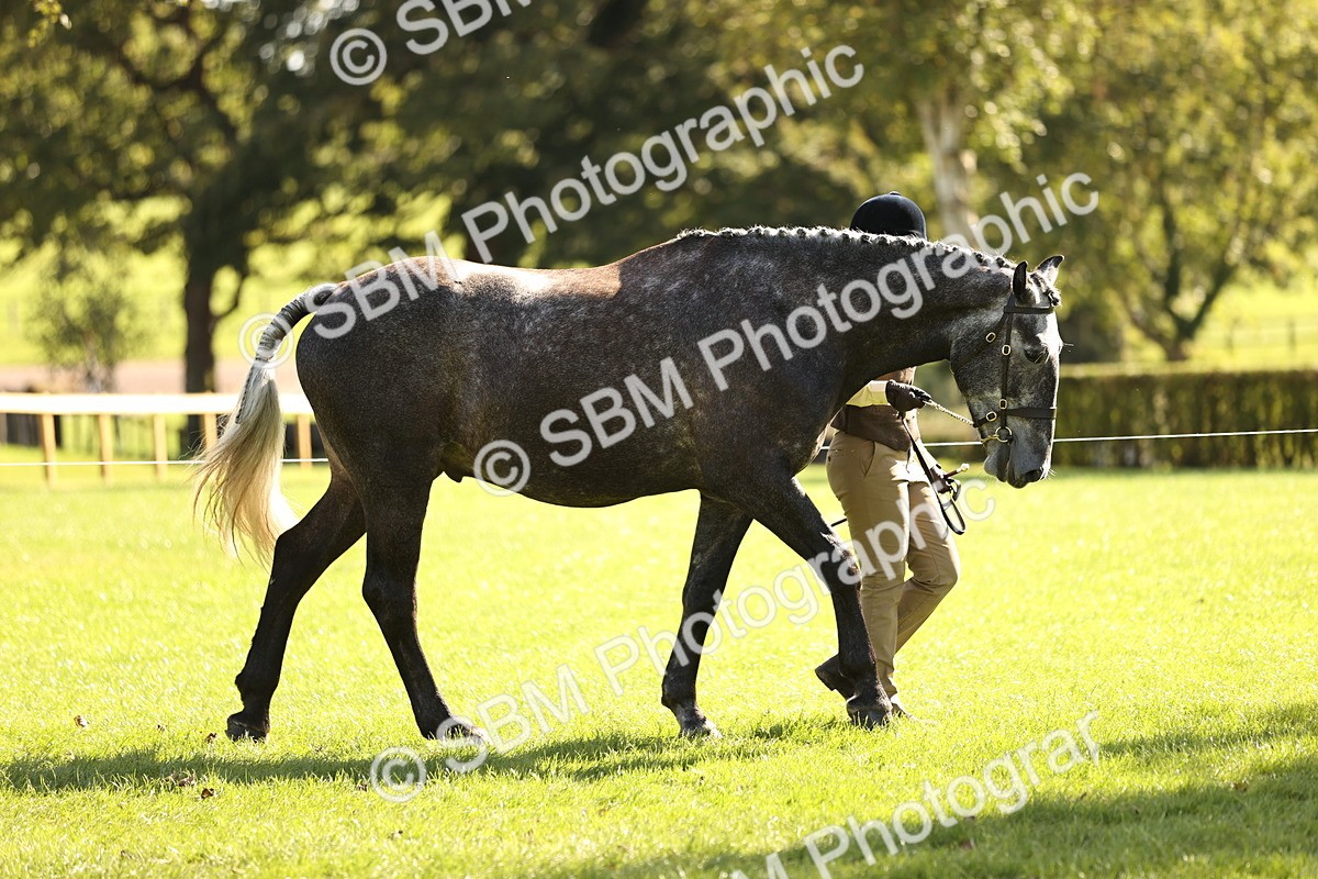 SBM_26127 - S5 - Novice & Newcomers In Hand