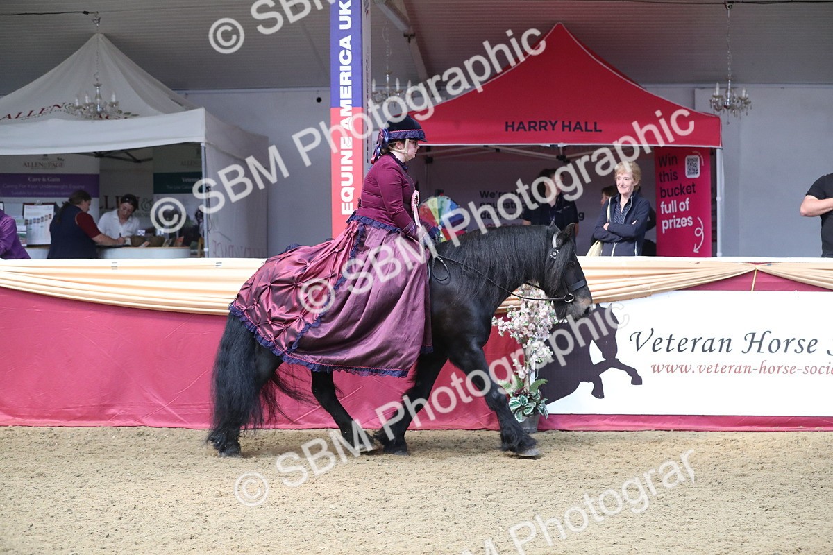 SBM_12095 - Class 106 Ridden Costume- Astride Adult (15-19)