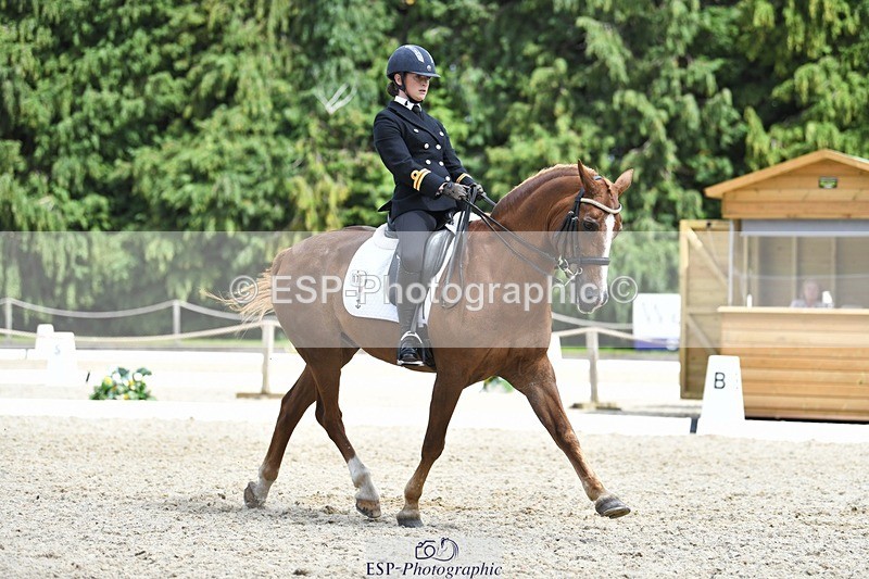 230812-141447-04647 - Cls 7 FEI PSG Bronze