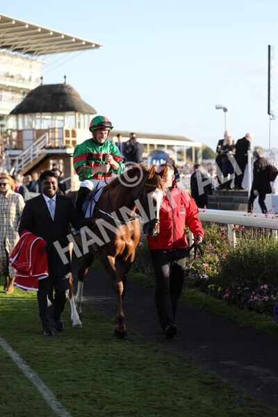 yr08102022r7-15 - Race 7 5.00pm The Coral Gets You Closer To The Action Stakes