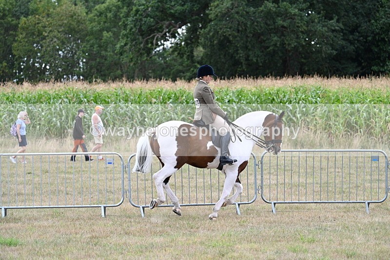 WJ7_5235 - Class 12 Ridden Cob