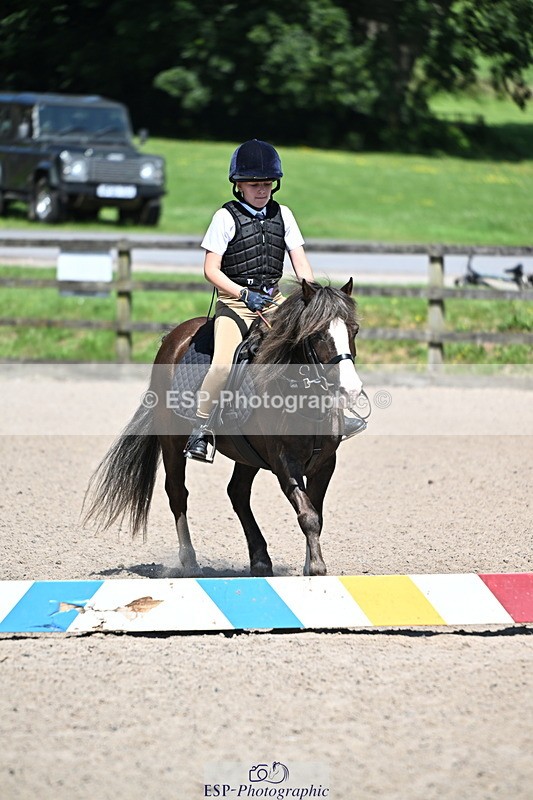 240729B-113543-02442 - Showjumping Competition