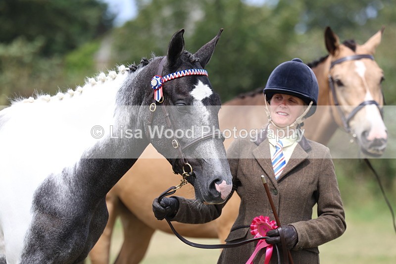 3E7A5607 - Class 20: Sports Horse In Hand