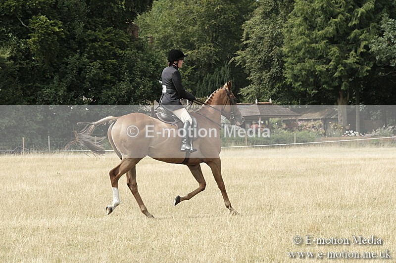 _PJP6093 - BVRC Show 2018 Ring 1