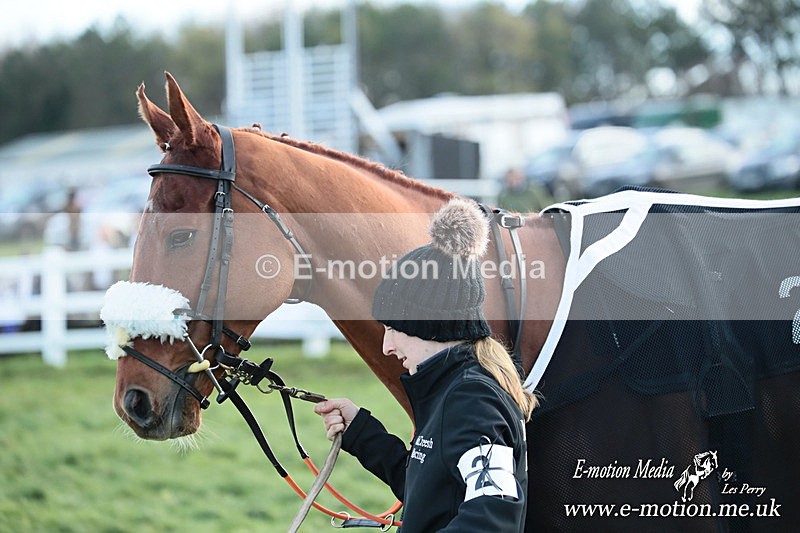 PtP 141225  1487 - New Forest Hounds PtP Larkhill 14/12/25