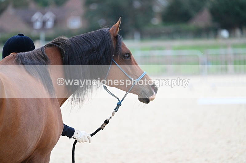 WJ7_1915 - Class 1 & Champs