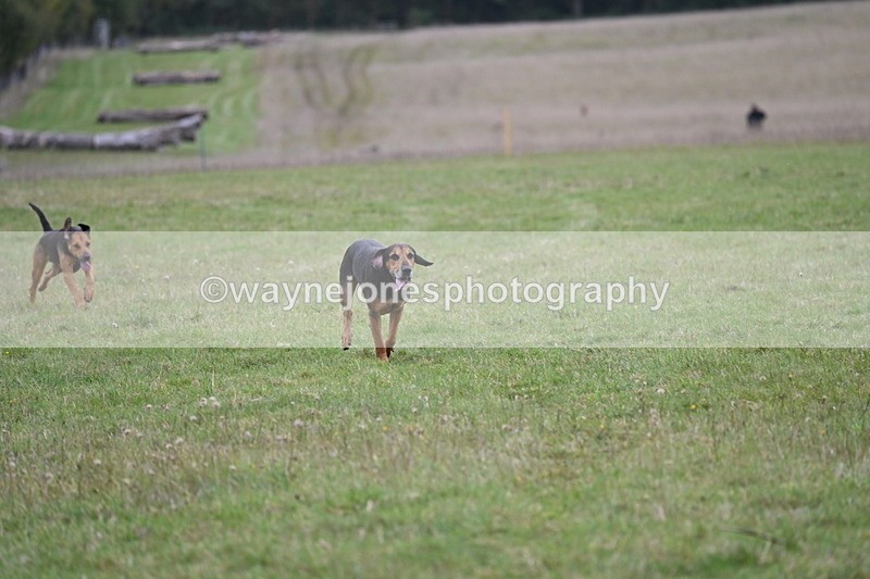 WJ6_0252 - Camera 2 Line 1