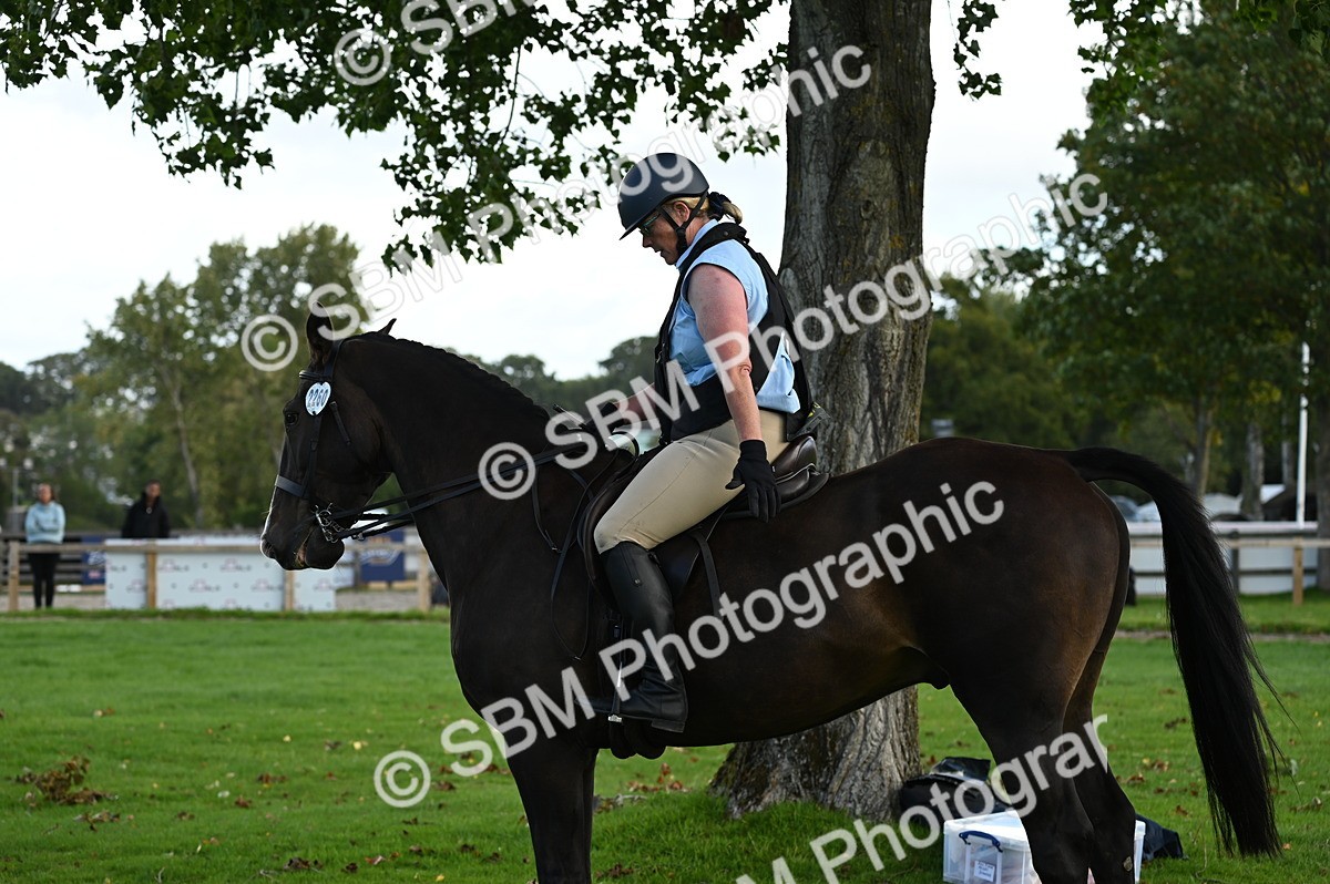 SBM_02073 - S2 - TSR Ridden Horse Showing