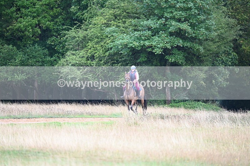 DSC_3913 - Time at Statue 14:56 to 15:05