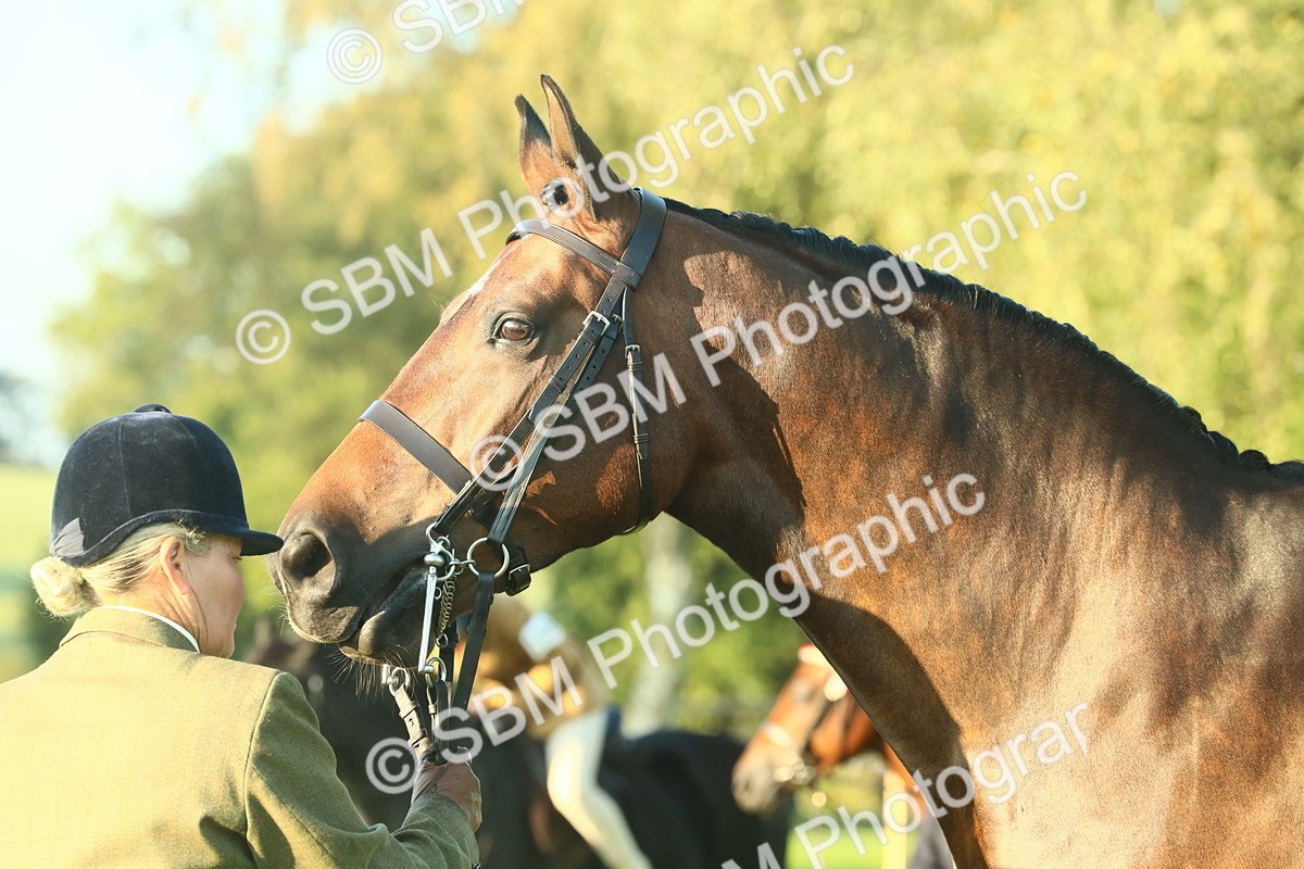 SBM_56689 - S36 - Starters Best Turnout