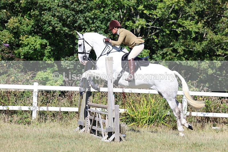 3E7A5854 - Class 5: Working Hunter 90cm
