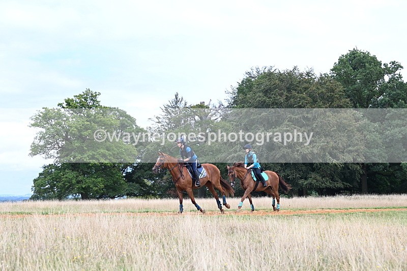 DSC_7730 - Time at Statue 13:16 to 13:52