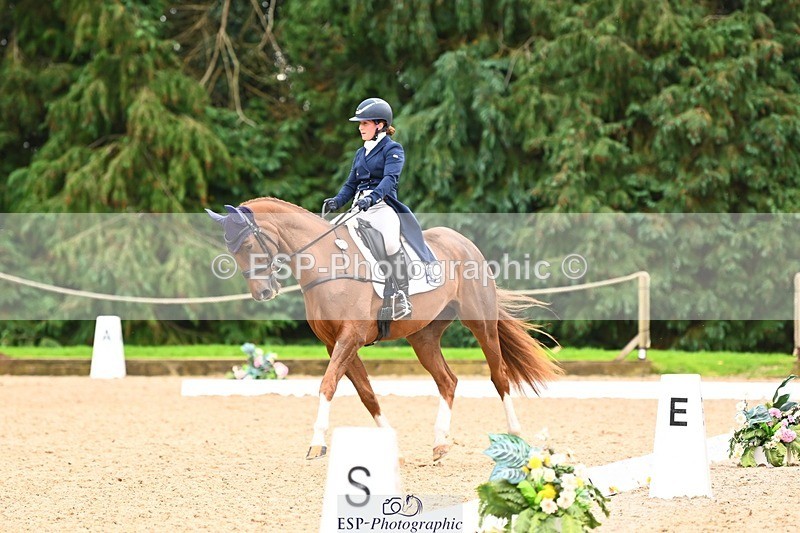 231020-153122-11847 - 213-MGH.HILDARE.HARLEQUIN-Danielle.Mccormack-DR