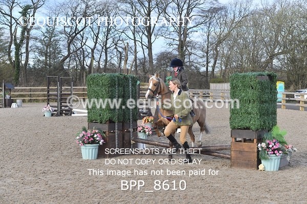 BPP_8610 - TRAINING STAKES