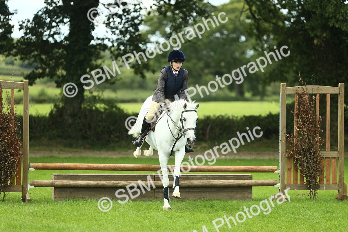 SBM_42801 - S30 - M&M Working hunter Pony